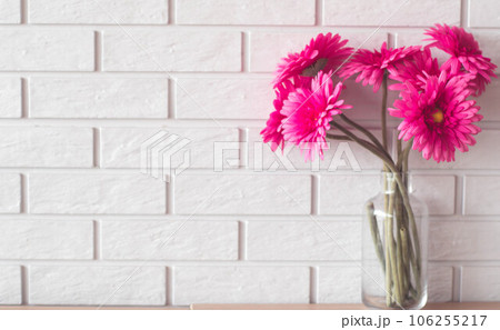 Pink Gerbera Daisies in Glass Vase against White Brick Wall 106255217