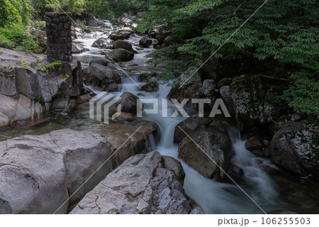 新緑の中を流れる川　小戸名渓谷 106255503
