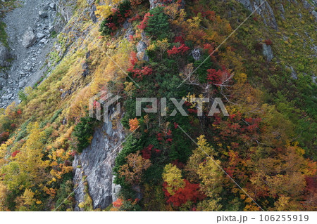秋の立山黒部アルペンルート 立山ロープウェイからの展望 秋の立山黒部アルペンルート 立山ロープウェイからの展望 106255919