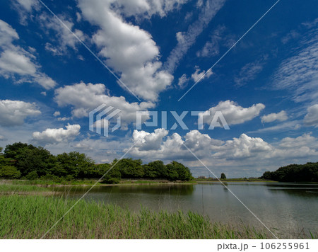 低気圧通過後の夏空 低気圧通過後の夏空 106255961