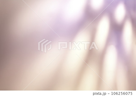 右斜め上からライティング　抽象的背景素材(低彩度) 106256075