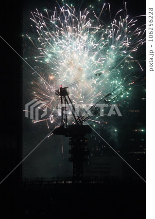 東京の夜空に咲く可憐な花火 東京の夜空に咲く可憐な花火 106256228