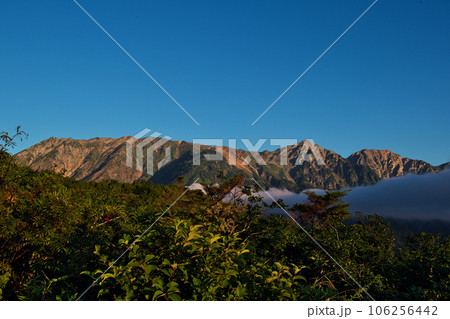 朝日を浴びる白馬三山 朝日を浴びる白馬三山 106256442