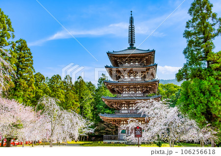 激安 五重塔 京都 写真 京都タワー picture 夕景 KYOTO 絵画