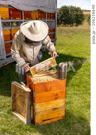 Beekeeper in protective workwear 106256640