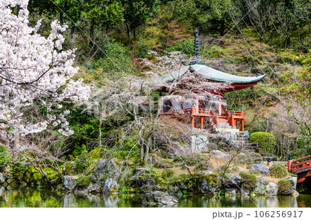 京都 桜満開の醍醐寺 ~弁天堂~ 京都 桜満開の醍醐寺 ~弁天堂~ 106256917