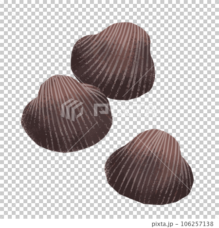 赤貝の水彩風イラスト 赤貝の水彩風イラスト 106257138