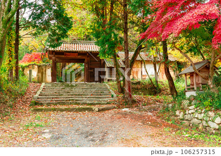 足守藩主木下家菩提寺・大光寺　紅葉の参道1　岡山県岡山市北区足守 106257315