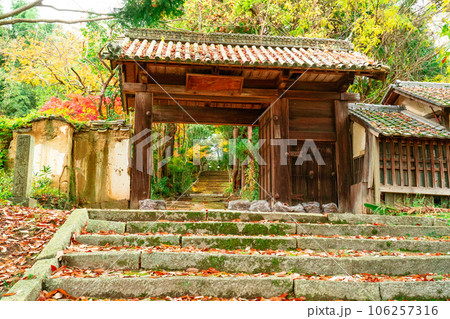 足守藩主木下家菩提寺・大光寺 紅葉の参道2 岡山県岡山市北区足守 足守藩主木下家菩提寺・大光寺 紅葉の参道2 岡山県岡山市北区足守 106257316