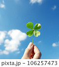 四つ葉のクローバー #01 106257473