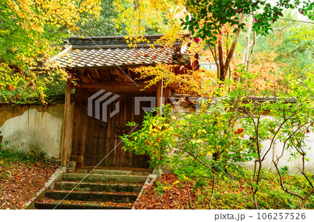 足守藩主木下家菩提寺・大光寺 崩れゆく名刹1 岡山県岡山市北区足守 足守藩主木下家菩提寺・大光寺 崩れゆく名刹1 岡山県岡山市北区足守 106257526