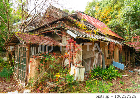 足守藩主木下家菩提寺・大光寺　崩れゆく名刹3　岡山県岡山市北区足守 106257528
