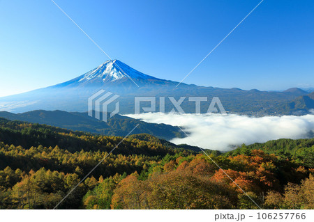 彩の林道から望む雲海富士 山梨県河口湖町 彩の林道から望む雲海富士 山梨県河口湖町 106257766