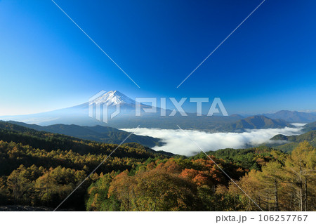彩の林道から望む雲海富士　山梨県河口湖町 106257767