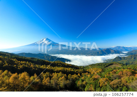 彩の林道から望む雲海富士　山梨県河口湖町 106257774