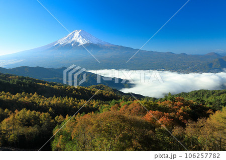 彩の林道から望む雲海富士 山梨県河口湖町 彩の林道から望む雲海富士 山梨県河口湖町 106257782