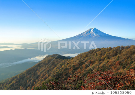 紅葉の三つ峠からの富士山眺望　山梨県河口湖町 106258060
