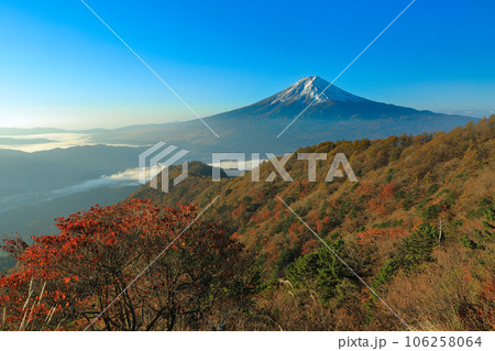 紅葉の三つ峠からの富士山眺望　山梨県河口湖町 106258064