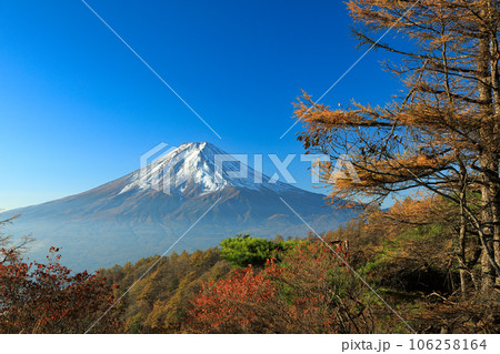 紅葉の三つ峠からの富士山眺望　山梨県河口湖町 106258164