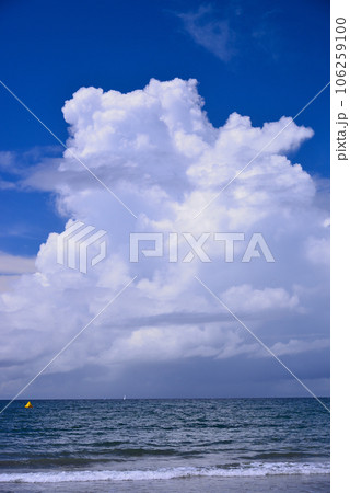 夏の海 106259100