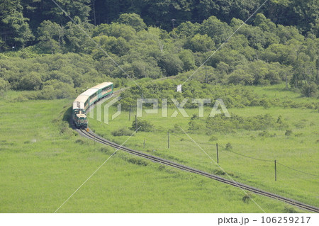 夏の北海道の釧路湿原を走行中のくしろ湿原ノロッコ号 106259217