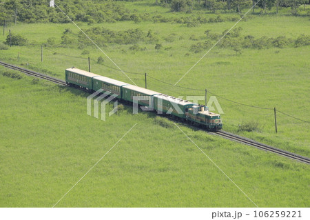 夏の北海道の釧路湿原を走行中のくしろ湿原ノロッコ号 106259221