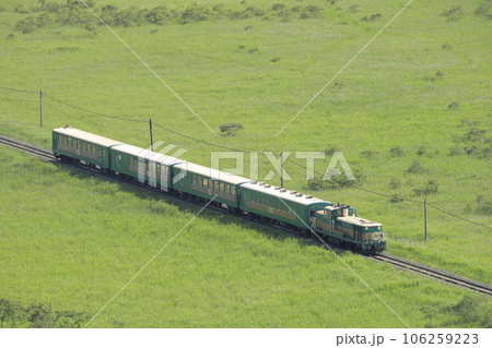 夏の北海道の釧路湿原を走行中のくしろ湿原ノロッコ号 夏の北海道の釧路湿原を走行中のくしろ湿原ノロッコ号 106259223