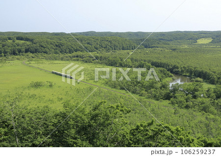 夏の北海道の釧路湿原を走行中のくしろ湿原ノロッコ号 106259237