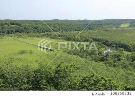 夏の北海道の釧路湿原を走行中のくしろ湿原ノロッコ号 106259238