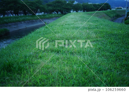 茅野市宮川の土手 106259660