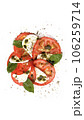 top view of caprese salad 106259714