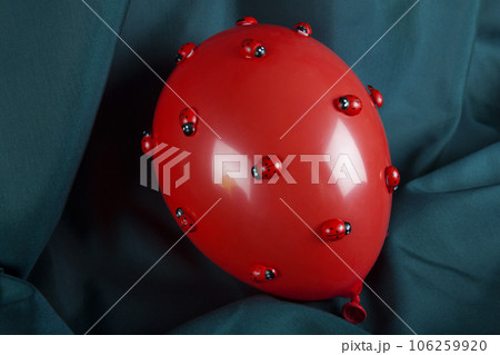 invasion red balloon ladybug invasion red balloon ladybug 106259920