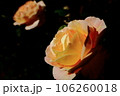 双子のバラ 106260018