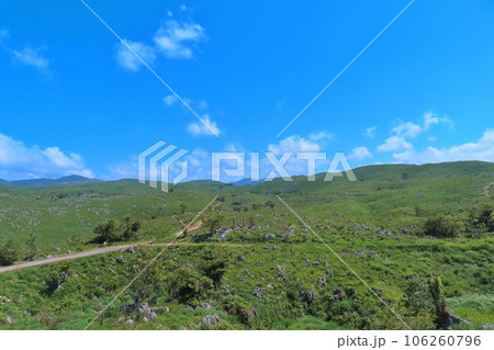 【山口県】秋吉台国定公園 【山口県】秋吉台国定公園 106260796