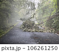 豪雨による倒木災害 106261250