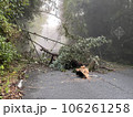 豪雨による倒木災害 106261258