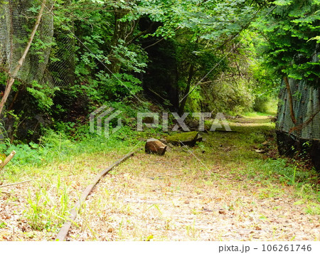 旧国鉄足尾線廃線跡の風景 旧国鉄足尾線廃線跡の風景 106261746