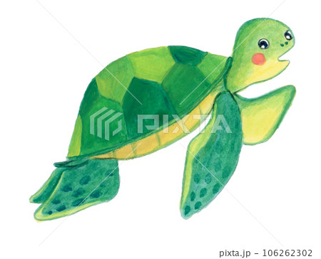 手描きの可愛いアオウミガメのイラスト 手描きの可愛いアオウミガメのイラスト 106262302