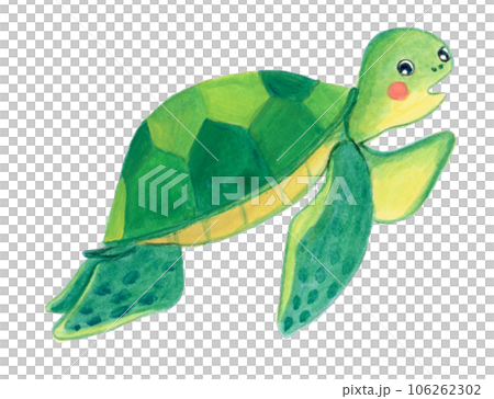 手描きの可愛いアオウミガメのイラスト 手描きの可愛いアオウミガメのイラスト 106262302