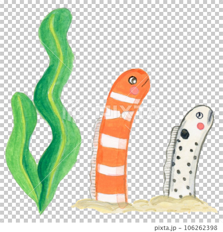 手描きの可愛いチンアナゴと海藻のイラスト 106262398