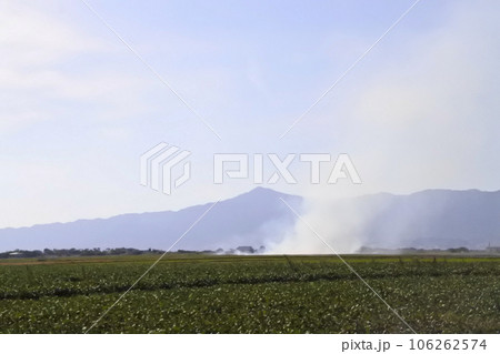 江州平野は野焼きの煙 江州平野は野焼きの煙 106262574