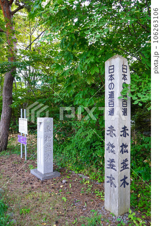 赤松並木(赤松街道・国道5号線) 赤松並木(赤松街道・国道5号線) 106263106