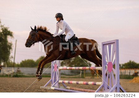 Dressage horse and rider in uniform during equestrian jumping competition 106263224
