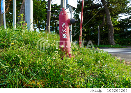 七飯町の消火栓 106263265