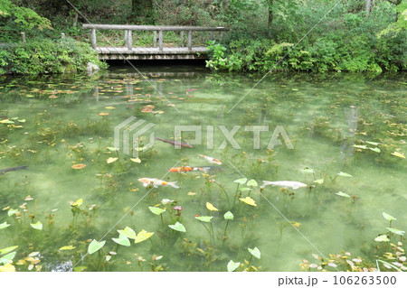 岐阜県 モネの池 岐阜県 モネの池 106263500