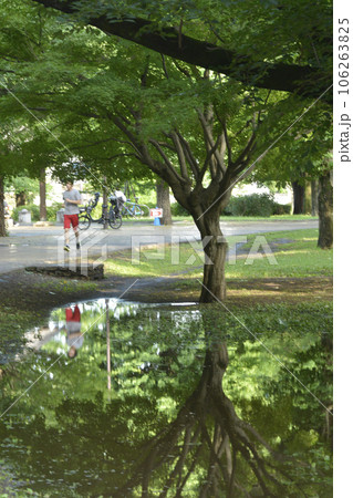 雨上がりの公園 雨上がりの公園 106263825