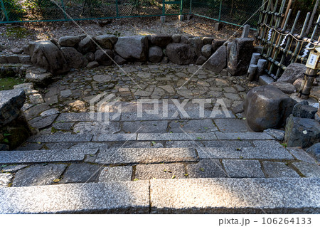 京都 木嶋坐天照御魂神社（蚕の社）元糺の池 106264133