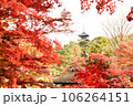 紅葉の三渓園 106264151