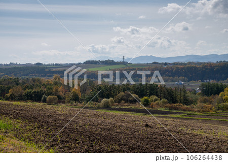秋の畑作地帯 106264438