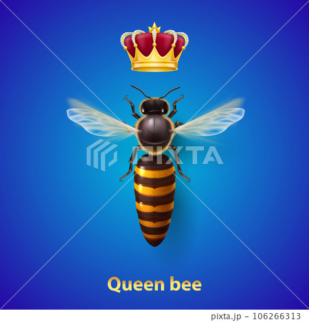 Bee Queen Bee Queen 106266313